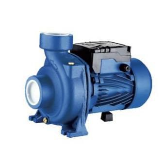 Garden Hose Water Transfer Pump